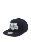 Mitchell & Ness Charlotte Hornets embroidered baseball cap